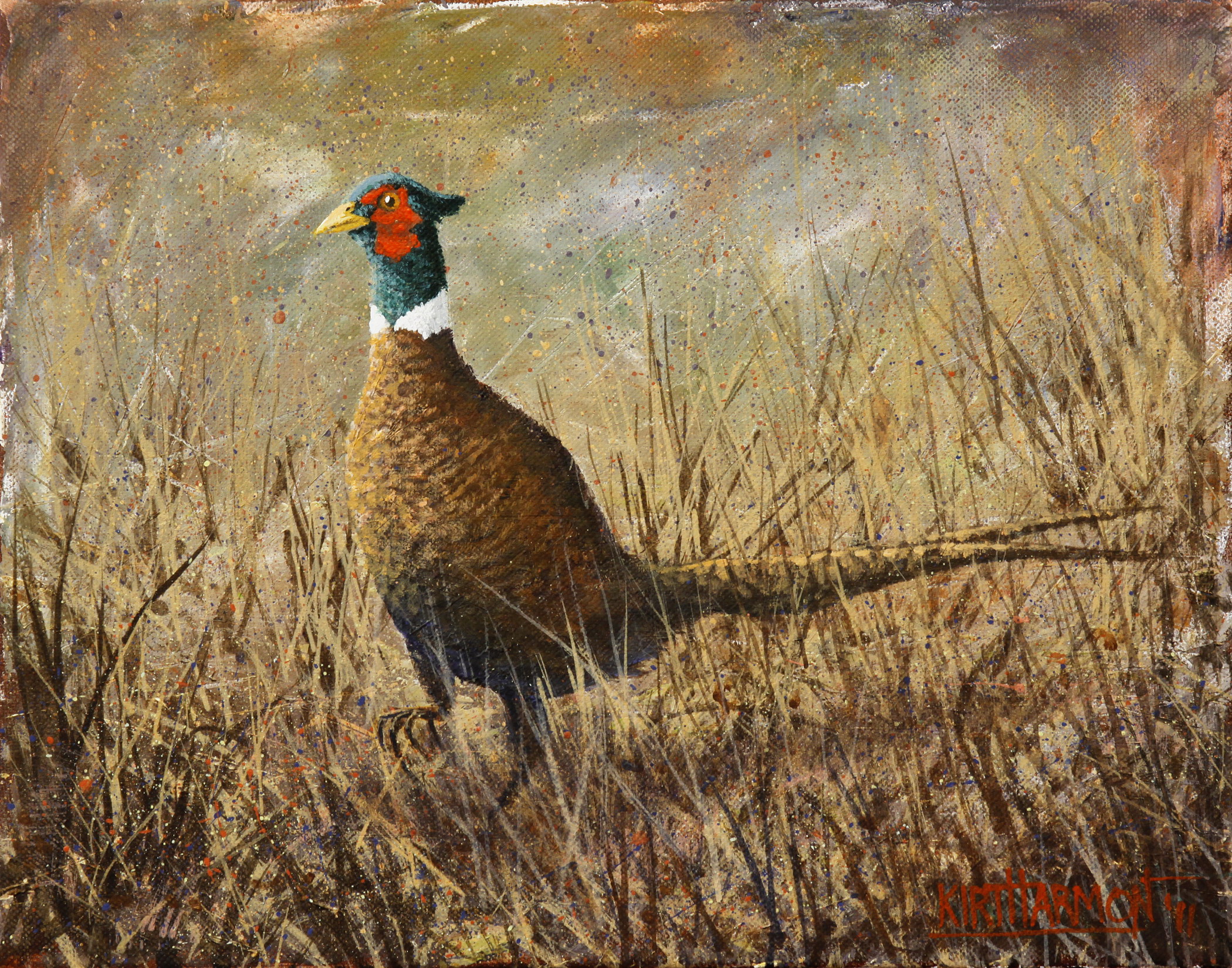 Pheasant Run