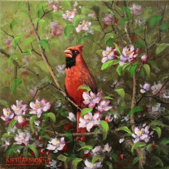 Cherry Blossom Cardinal