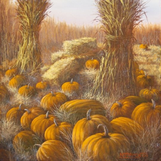 Harvest Pumpkins