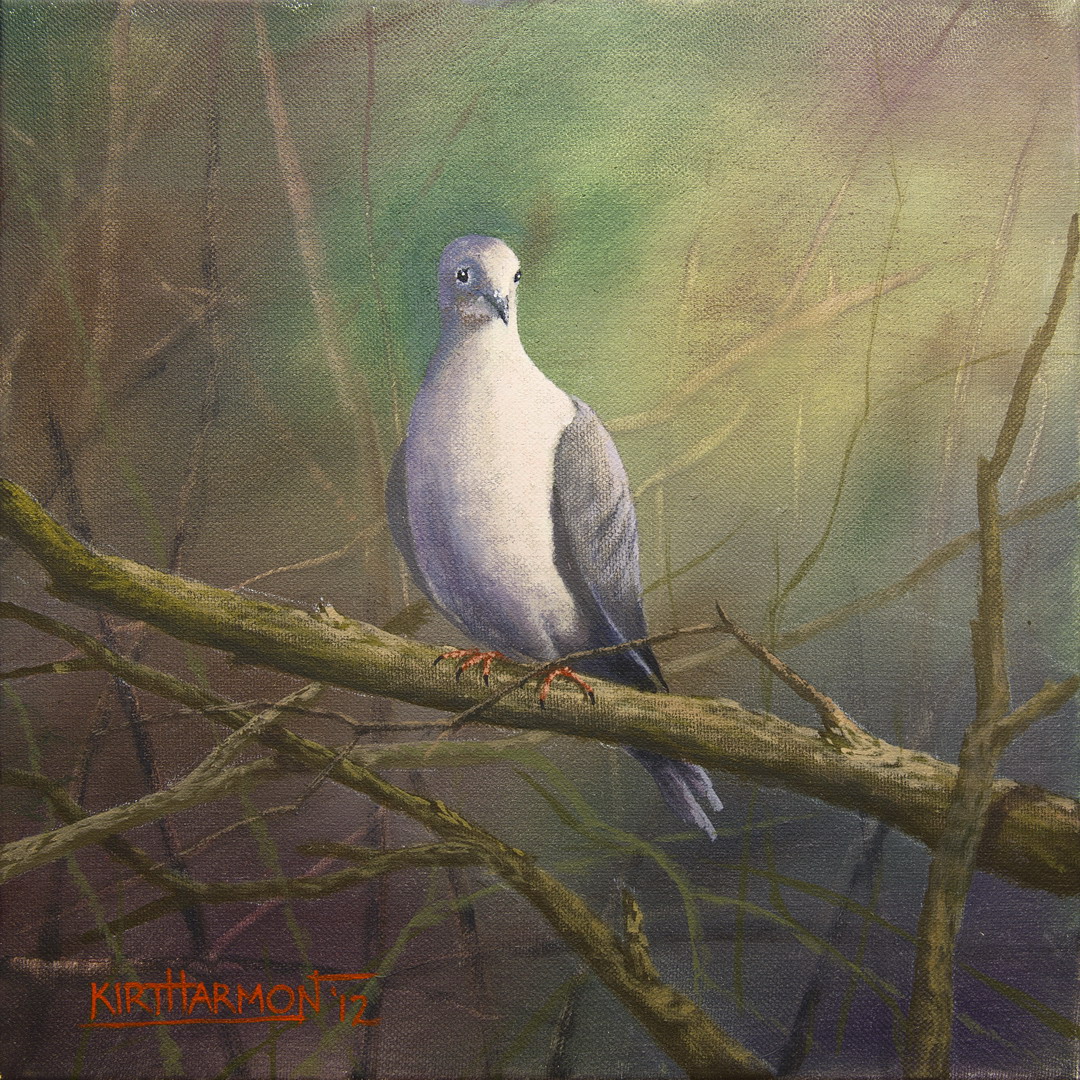 Mourning Dove - Acrylic on canvas, in Critters, Wildlife and Birds
