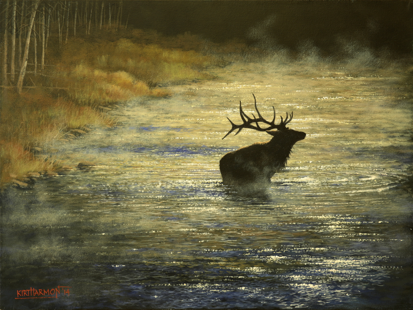 Misty Morning Elk