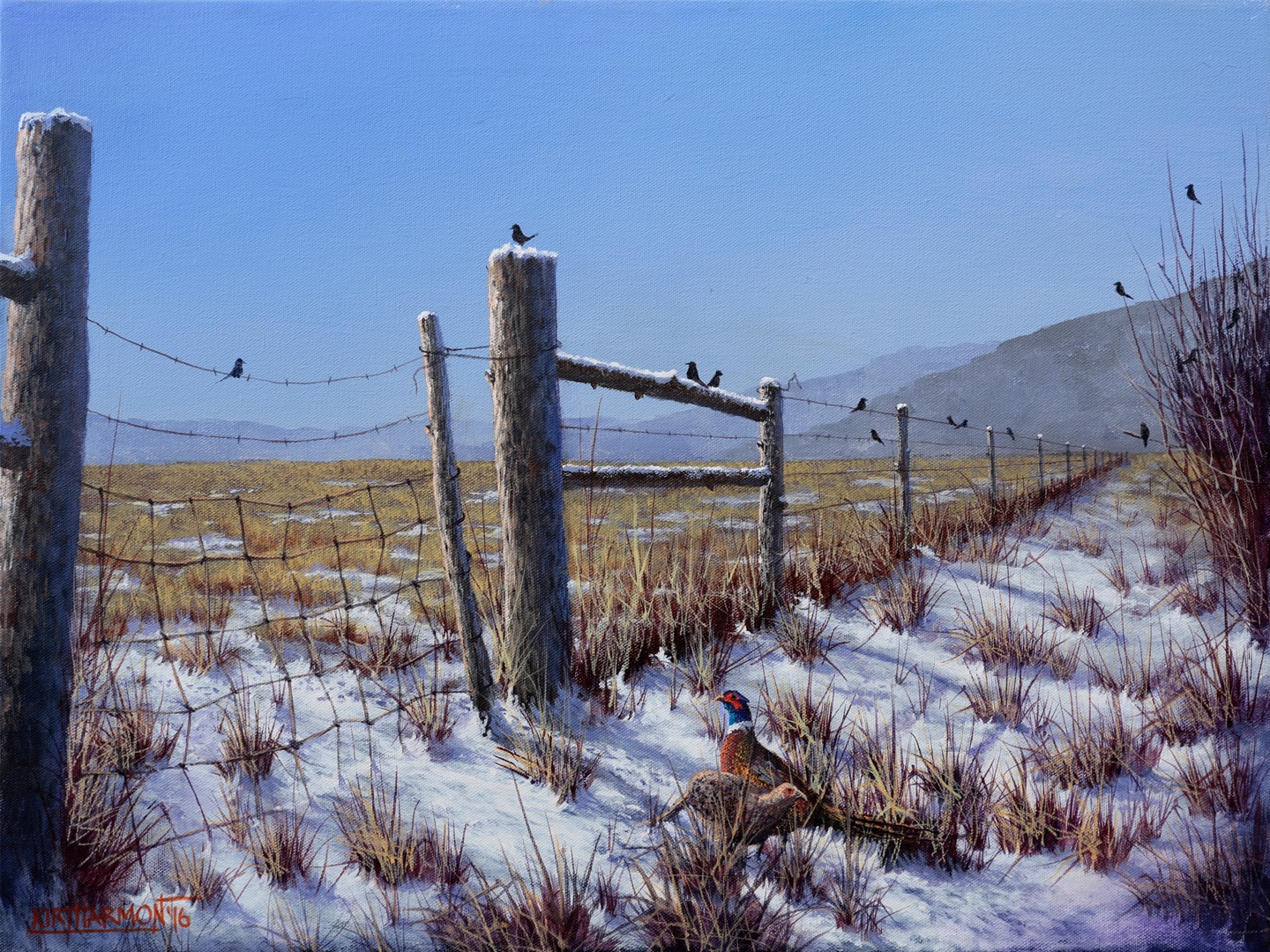Winter pheasants (2)