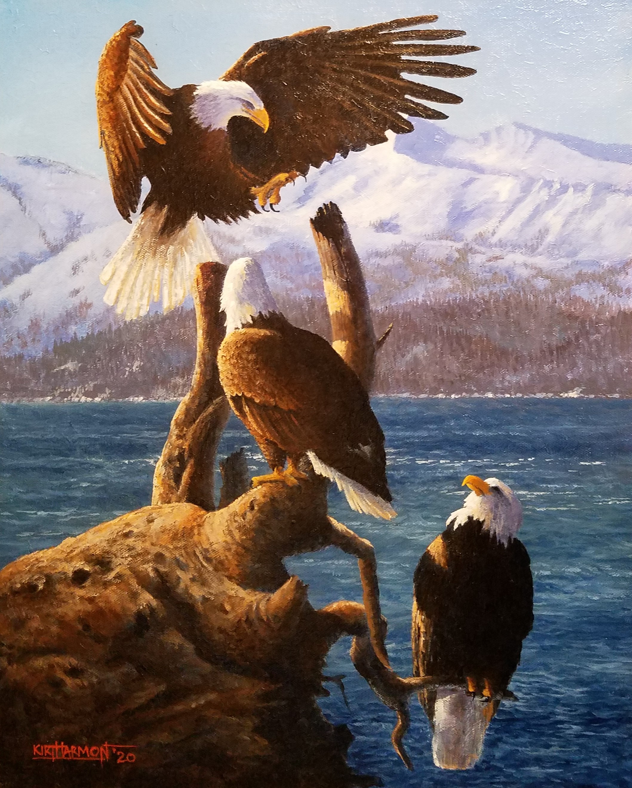 Eagle Summit