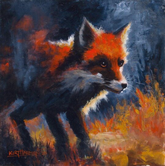 Critters, Wildlife and Birds